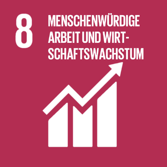 SDG 8